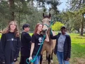 Rising Above Daily Youth Ranch Big Gray Day