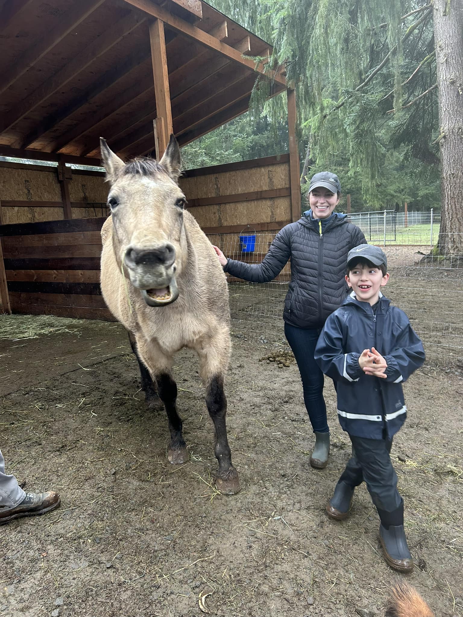 Youth participating in equine mentorship at Rising Above Daily Youth Ranch